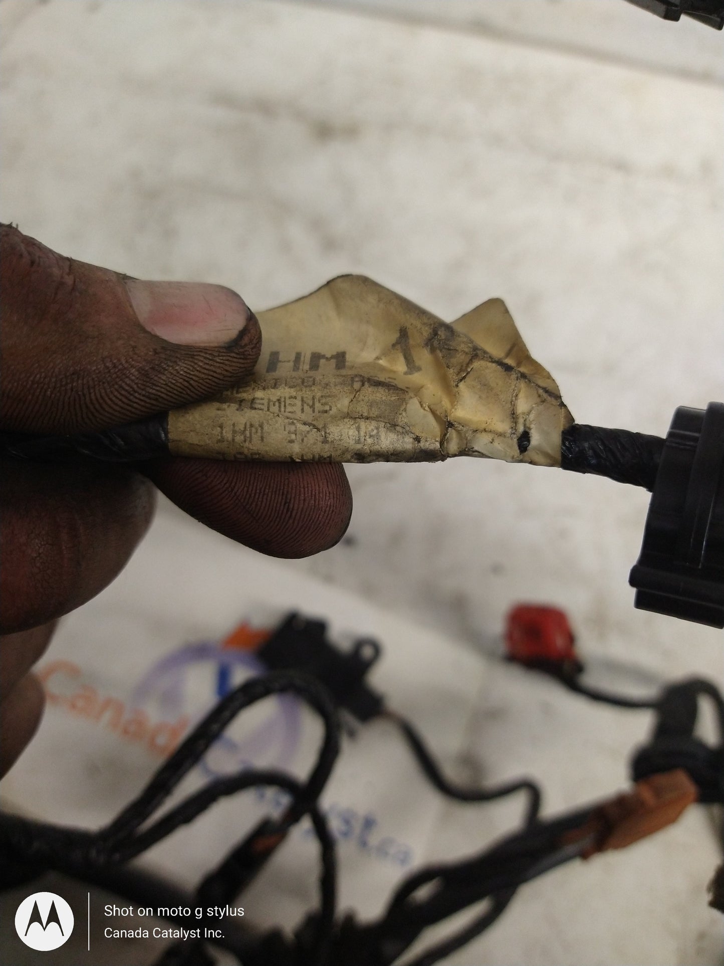 MK3 Jetta Trunk WIRE HARNESS