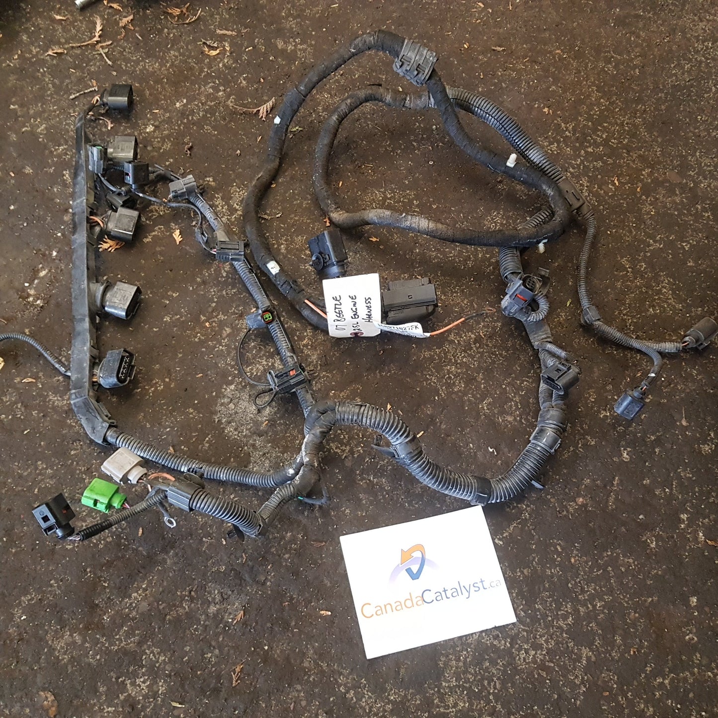 New Beetle 2.5L Engine Wire HARNESS