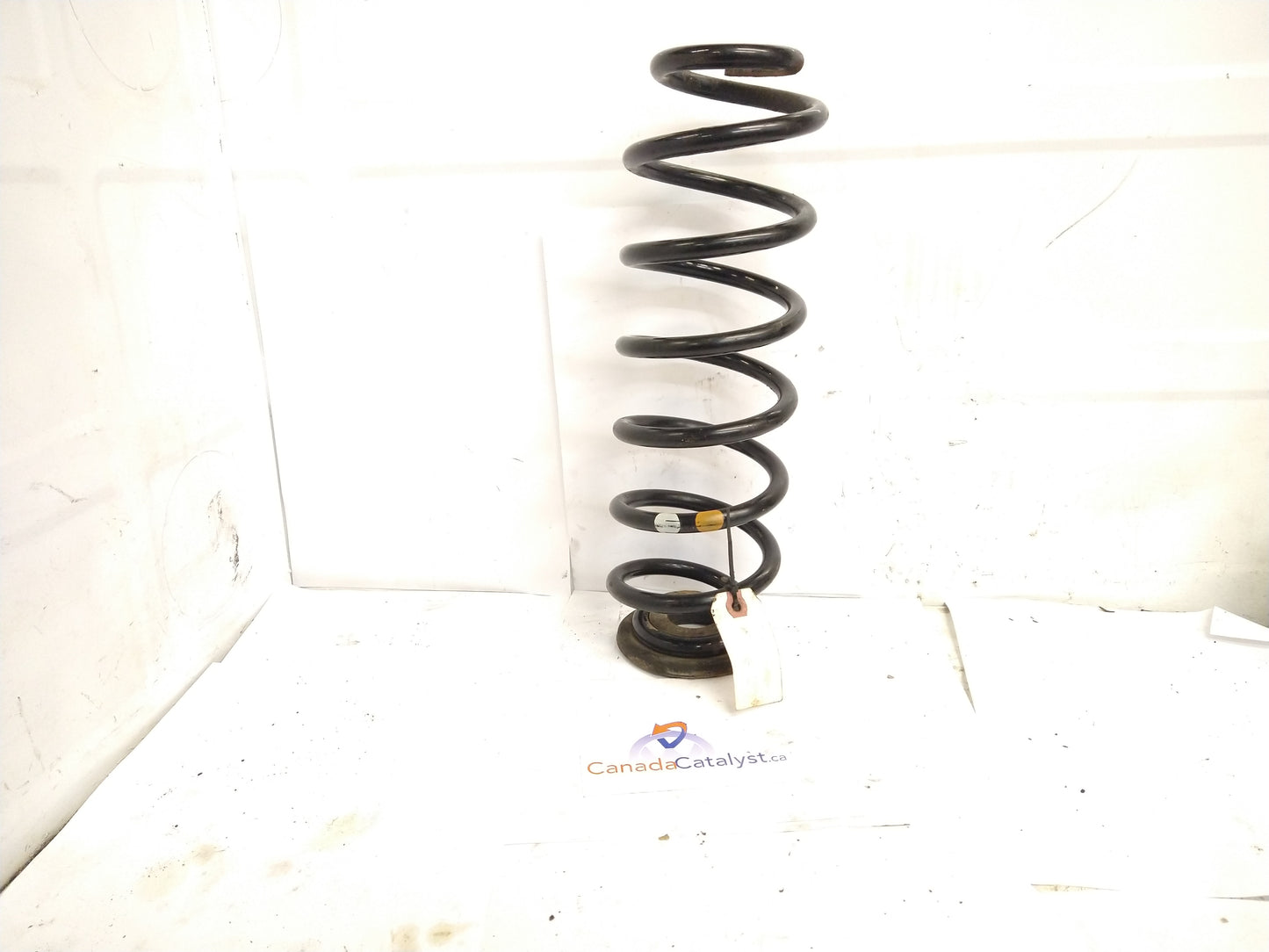 MK6.5 Jetta Rear Spring Set