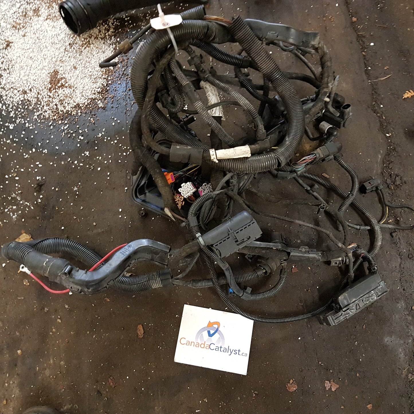 MK4 BEW Tiptronic Auto Engine HARNESS