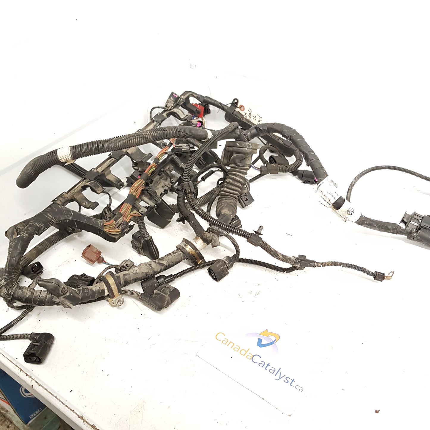 2004 Touareg 3.2L VR6 Engine Harness
