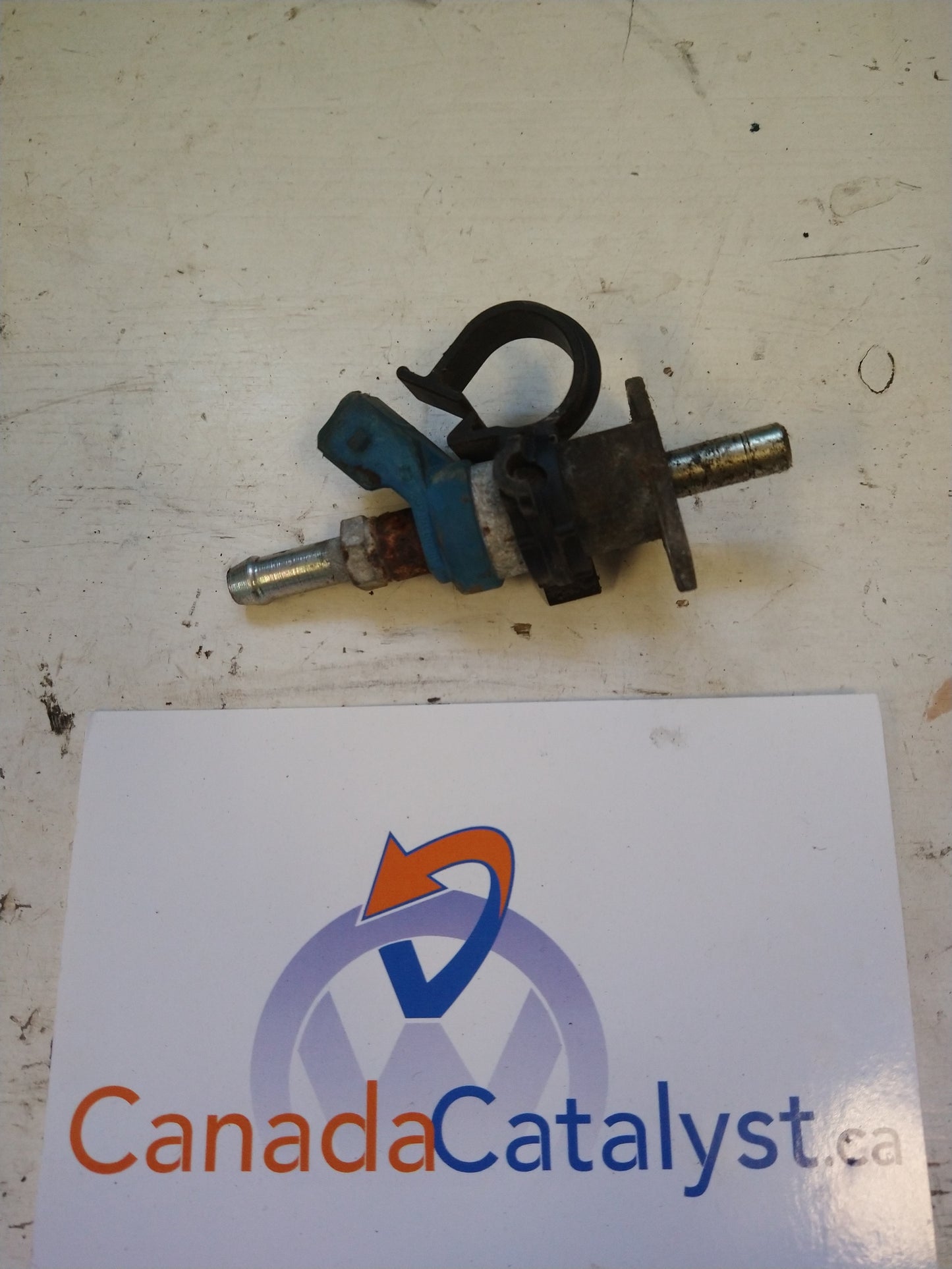 Early T4 Cold Start INJECTOR