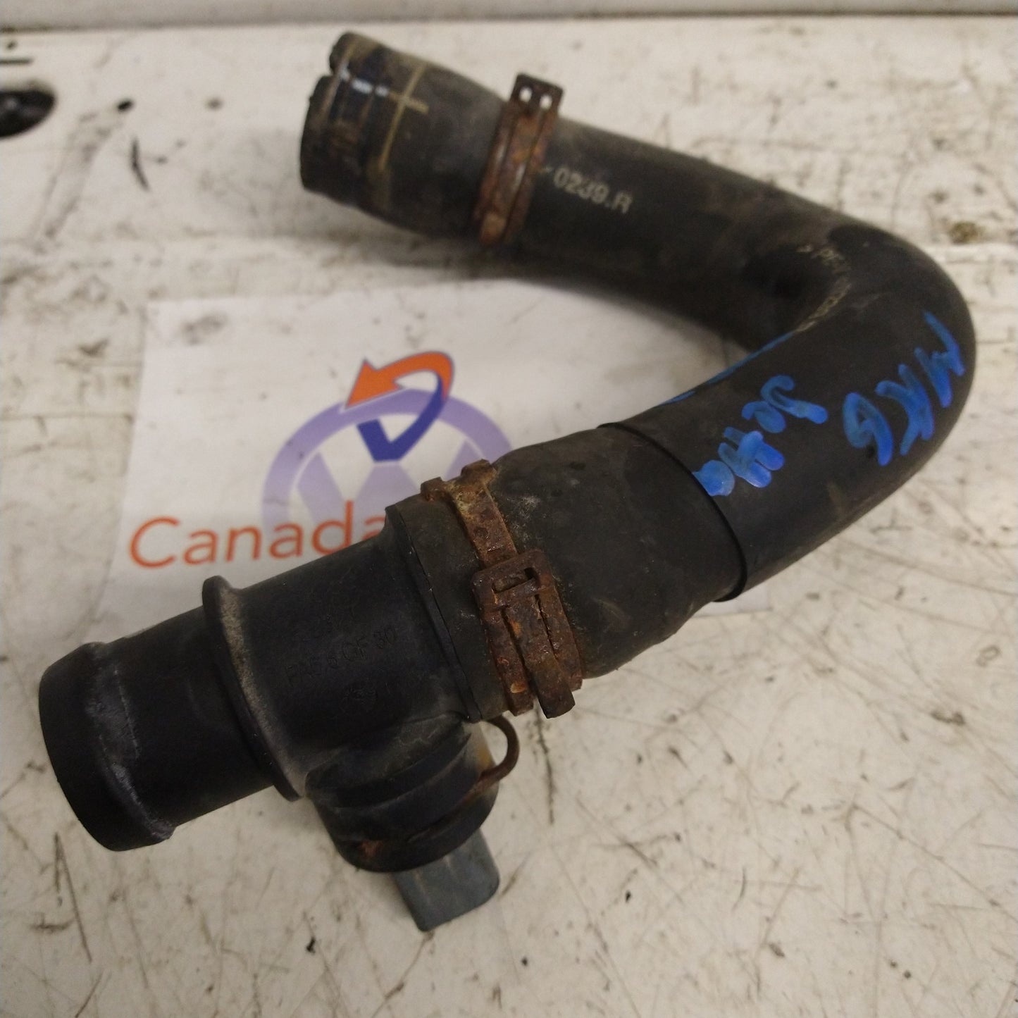 CJAA lower coolant hose