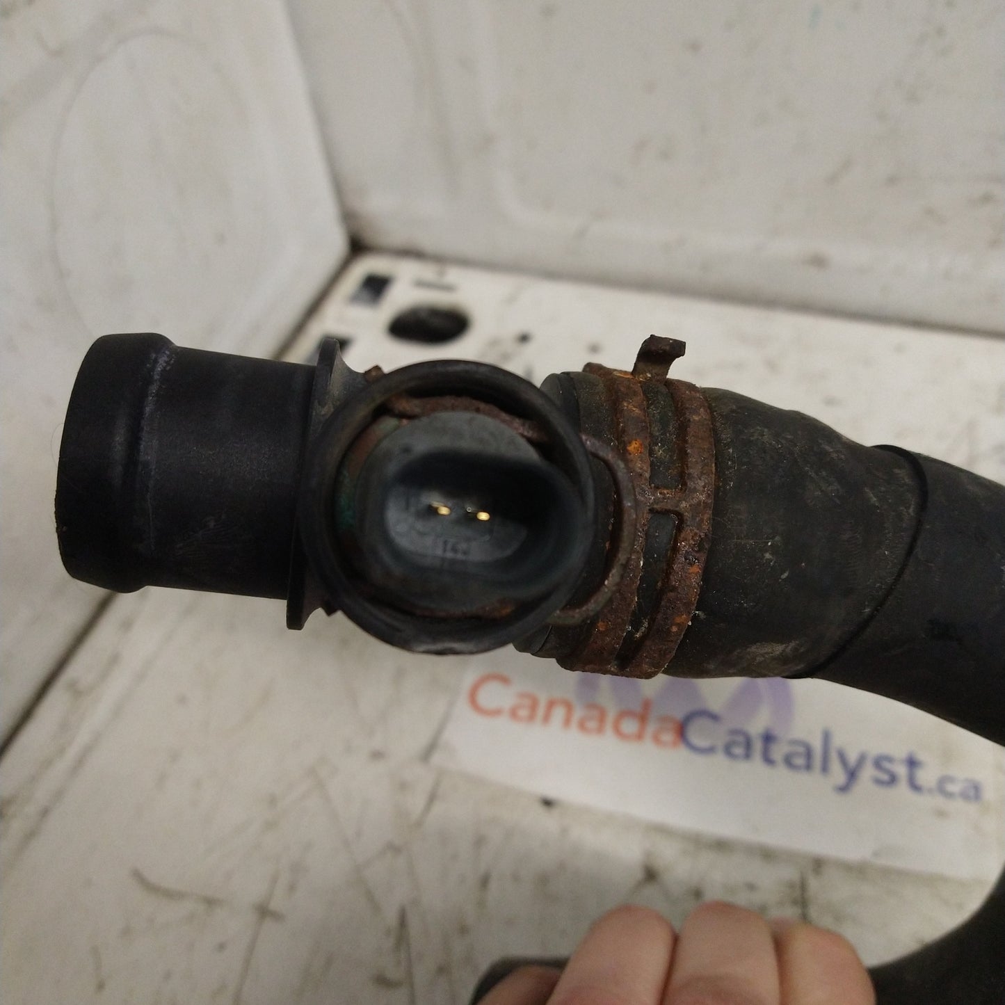 CJAA lower coolant hose