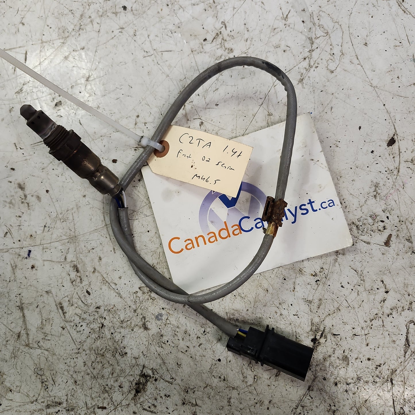 MK6.5 CZTA Front O2 SENSOR