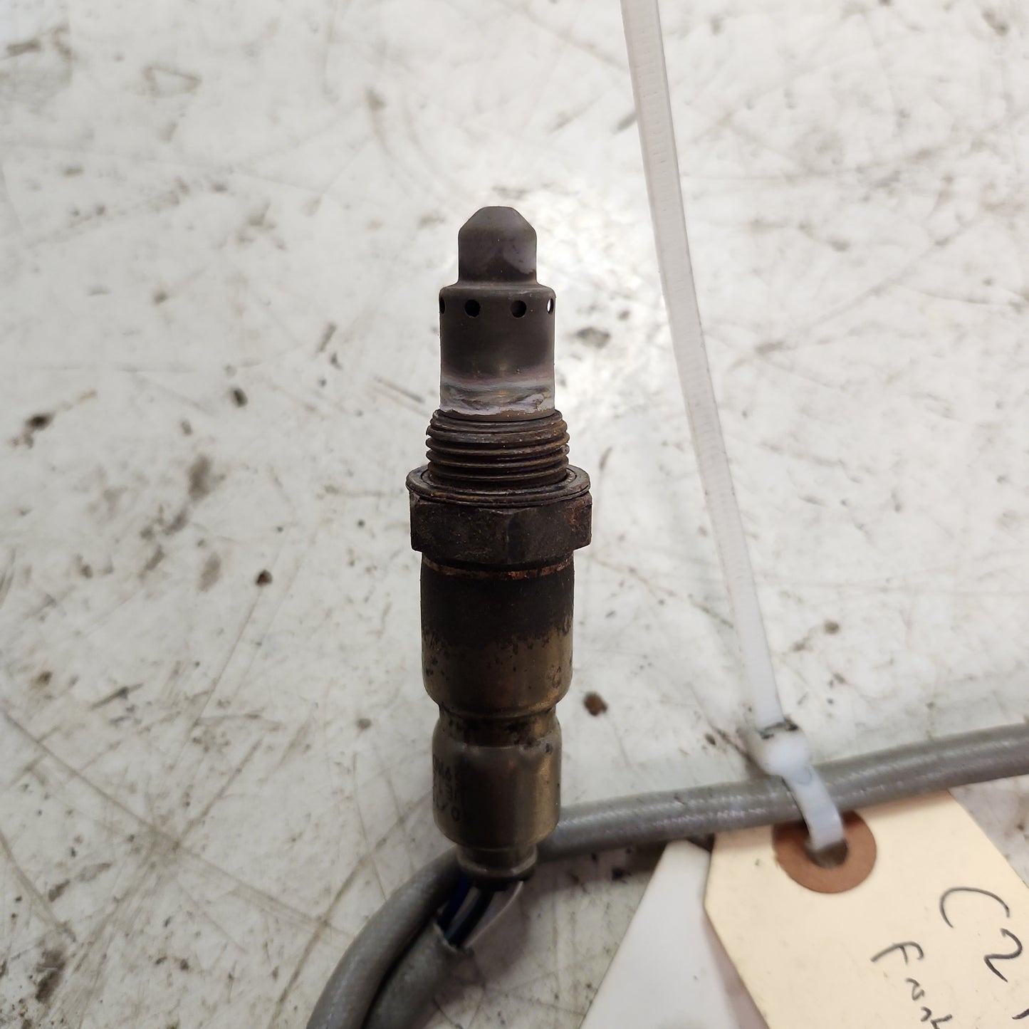 MK6.5 CZTA Front O2 SENSOR