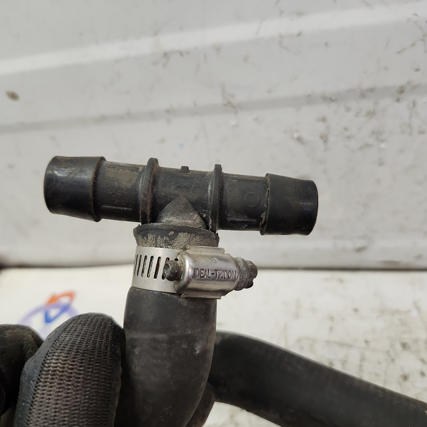 T4 2.5 coolant hoses