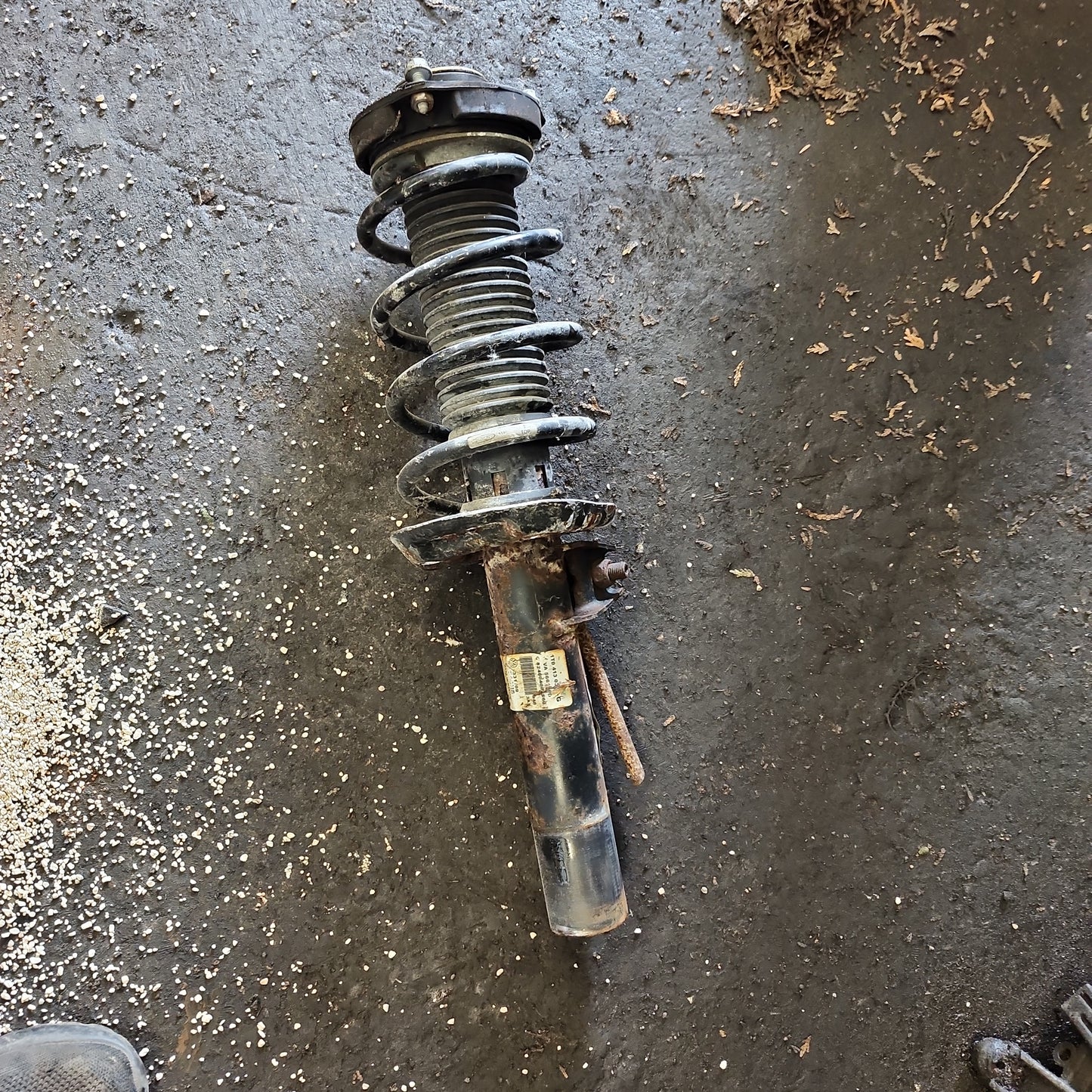 mk5 MK6 jetta / Golf / B6 STRUT ASSEMBLY