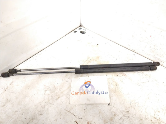 New Beetle Hatch STRUT
