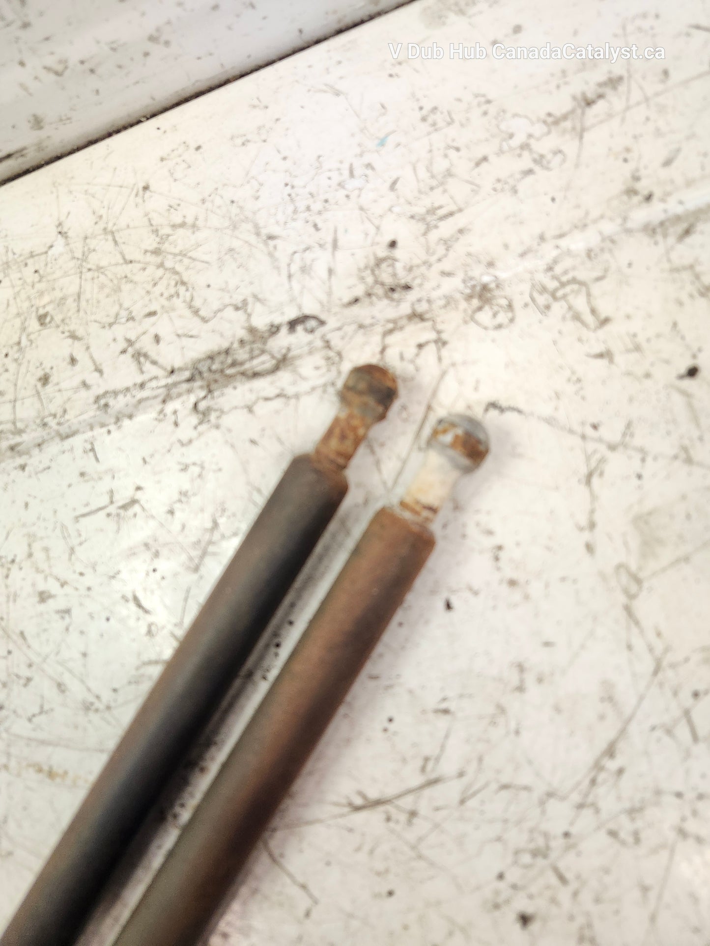 B4 Wagon Hatch STRUTS 3A9827550