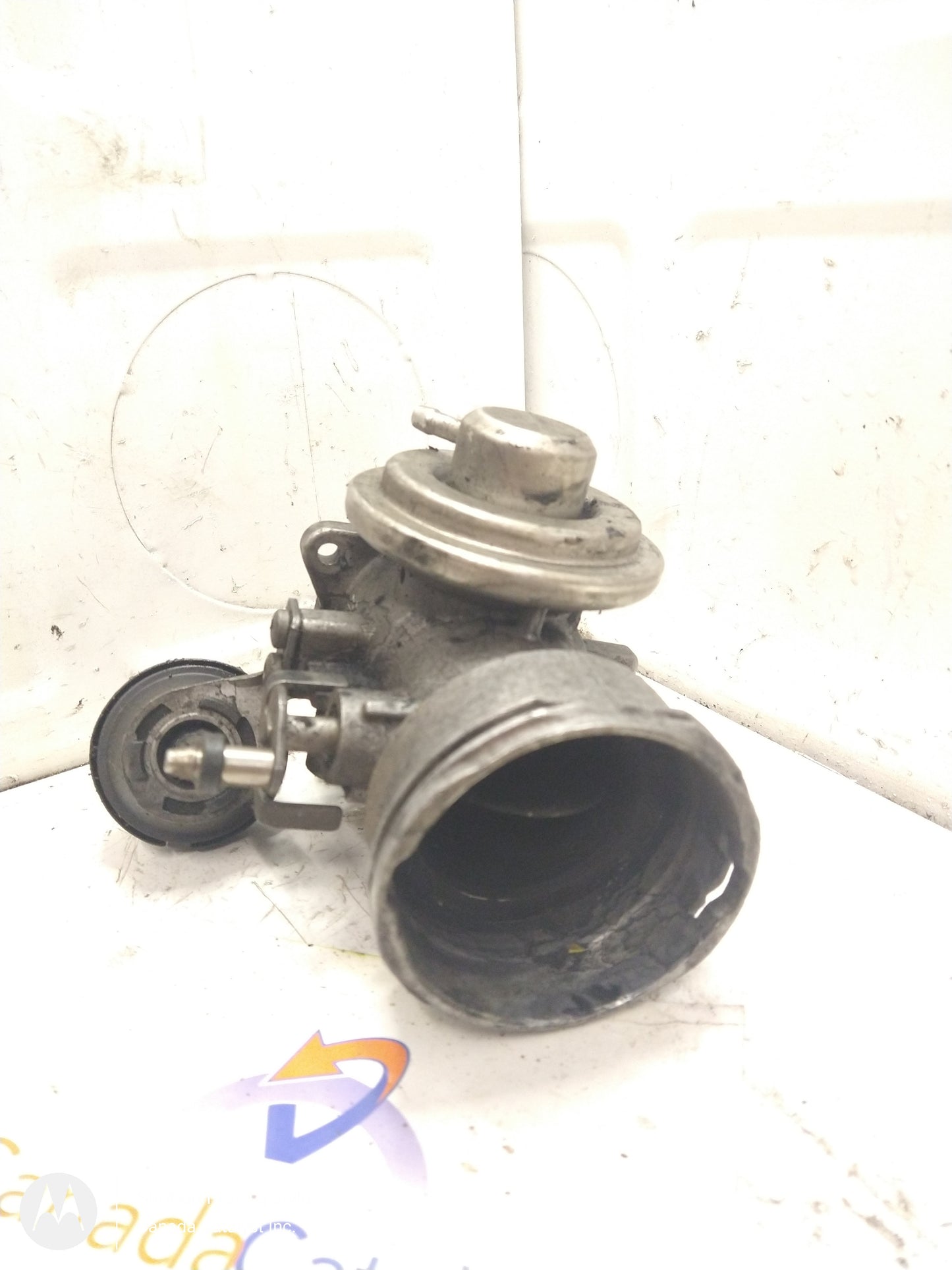 PD150 EGR VALVE 038129637L + 038131501T euro