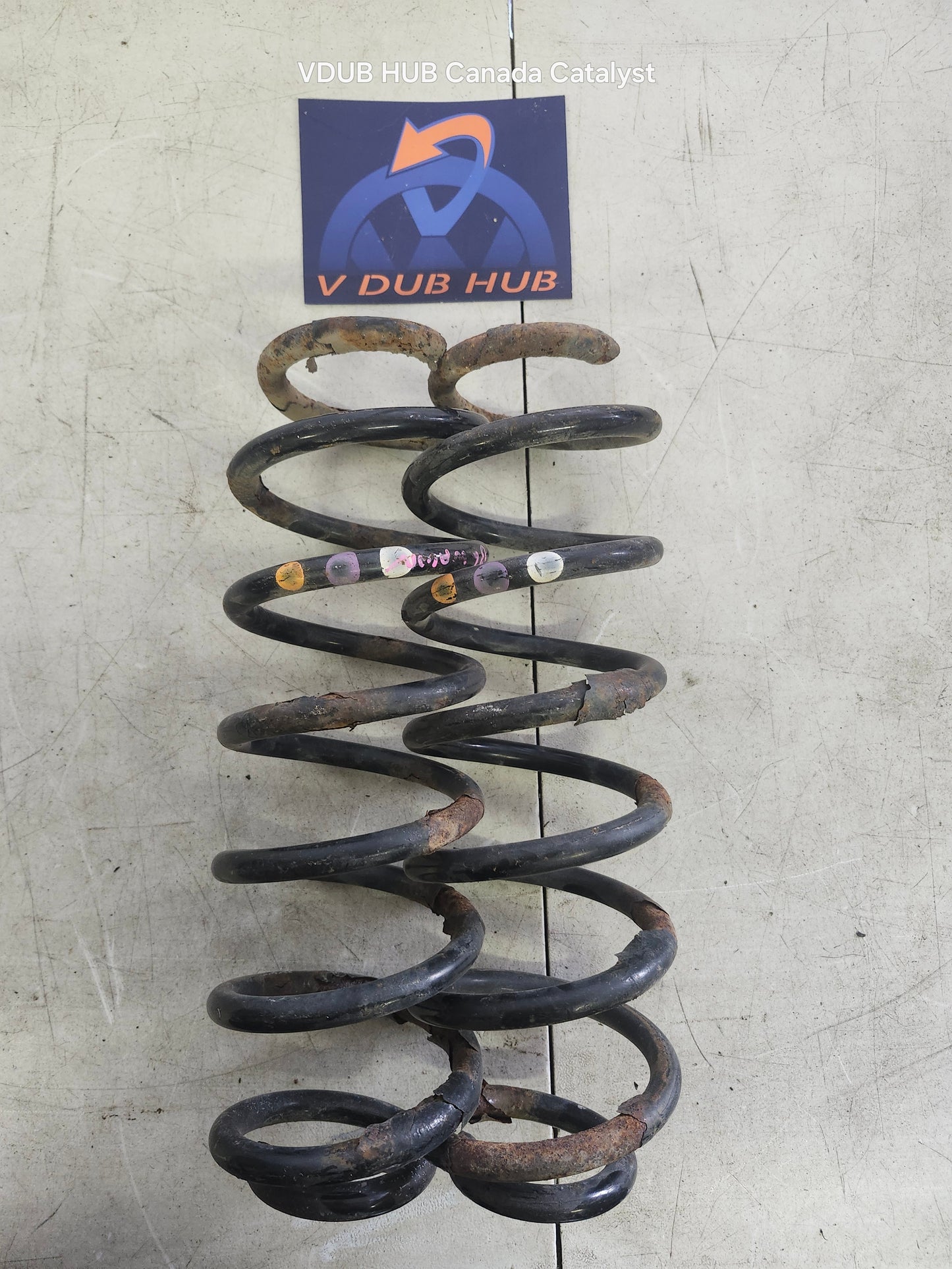 B6 REAR COIL SPRING  3C0511115AG