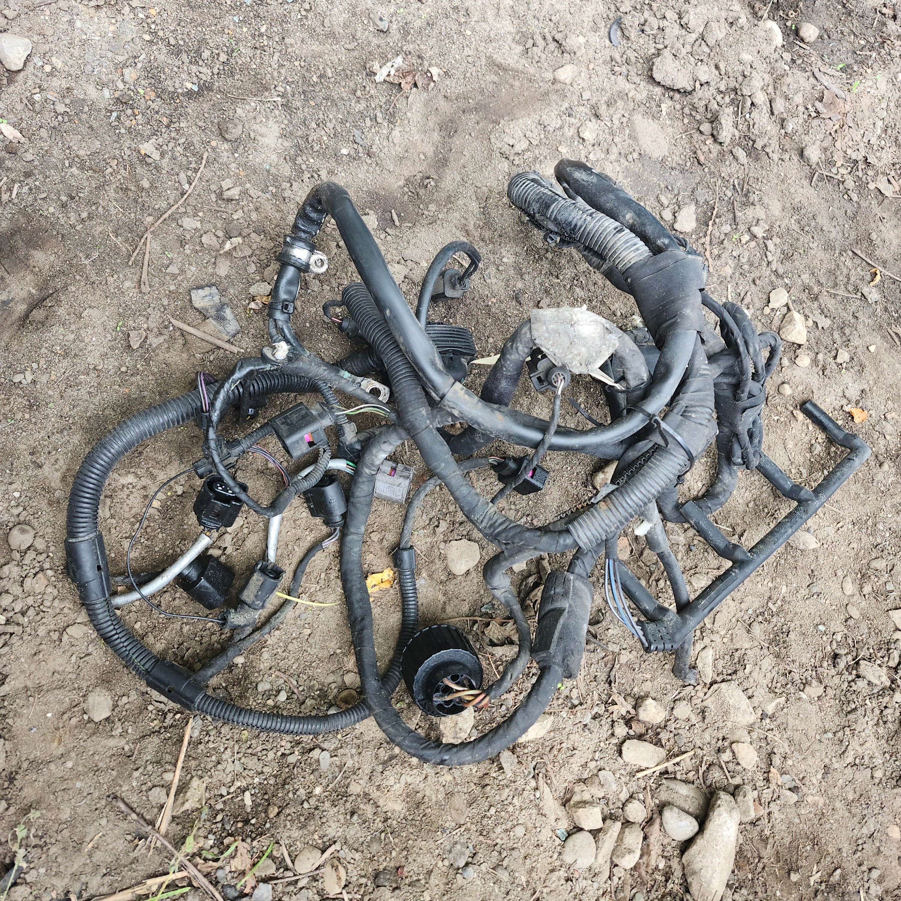 MK5 BRM ENGINE WIRE HARNESS Manual Transmission V DUB HUB MK5 BRM ENGINE WIRE HARNESS Manual Transmission V DUB HUB