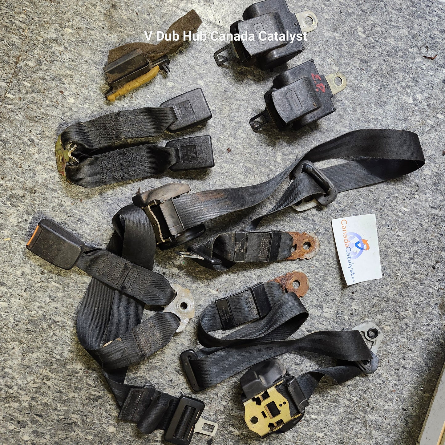Vintage vw seatbelt set