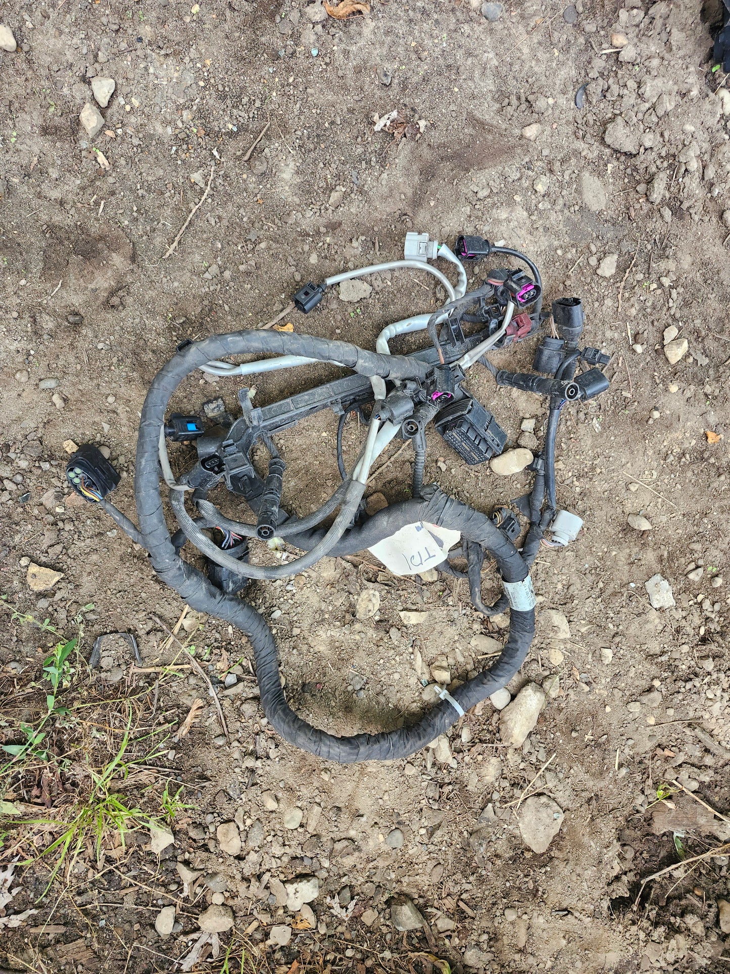 B7 Engine Side Wire Harness 03L971627T