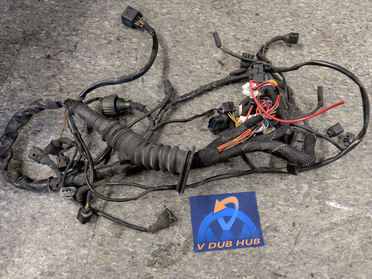 BHW engine harness