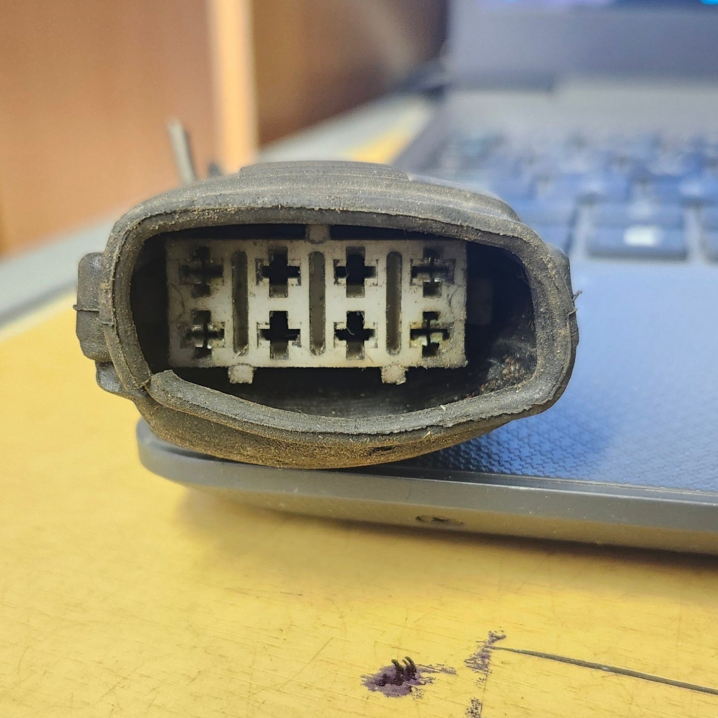 Pigtail plug 171972509 171972507