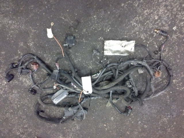 2.0L AEG EPG Engine And Transmission WIRE HARNESS