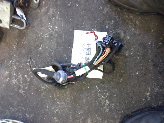 B5.5 Rear Driver Door Wire HARNESS 3B0971161N