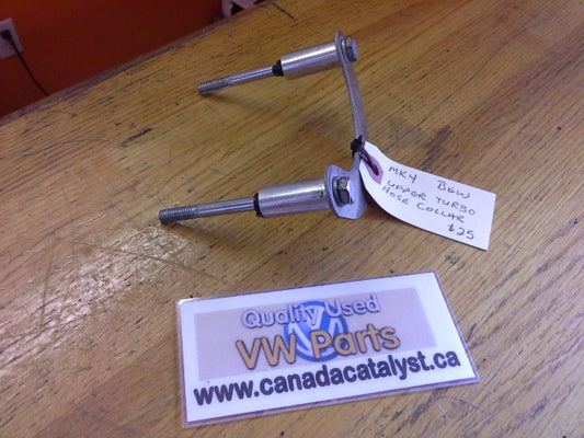 BEW TDI Doggy COLLAR