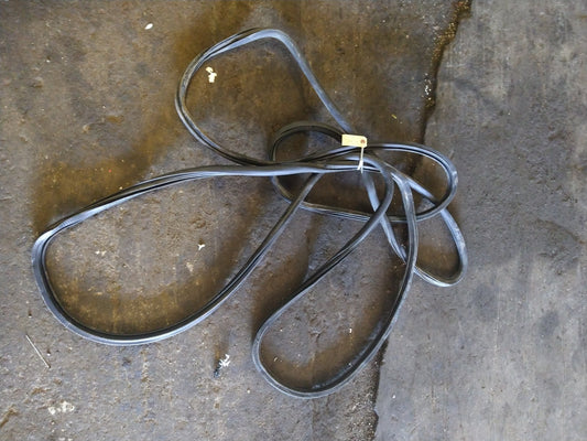 MK5 GTI Door WEATHERSTRIP